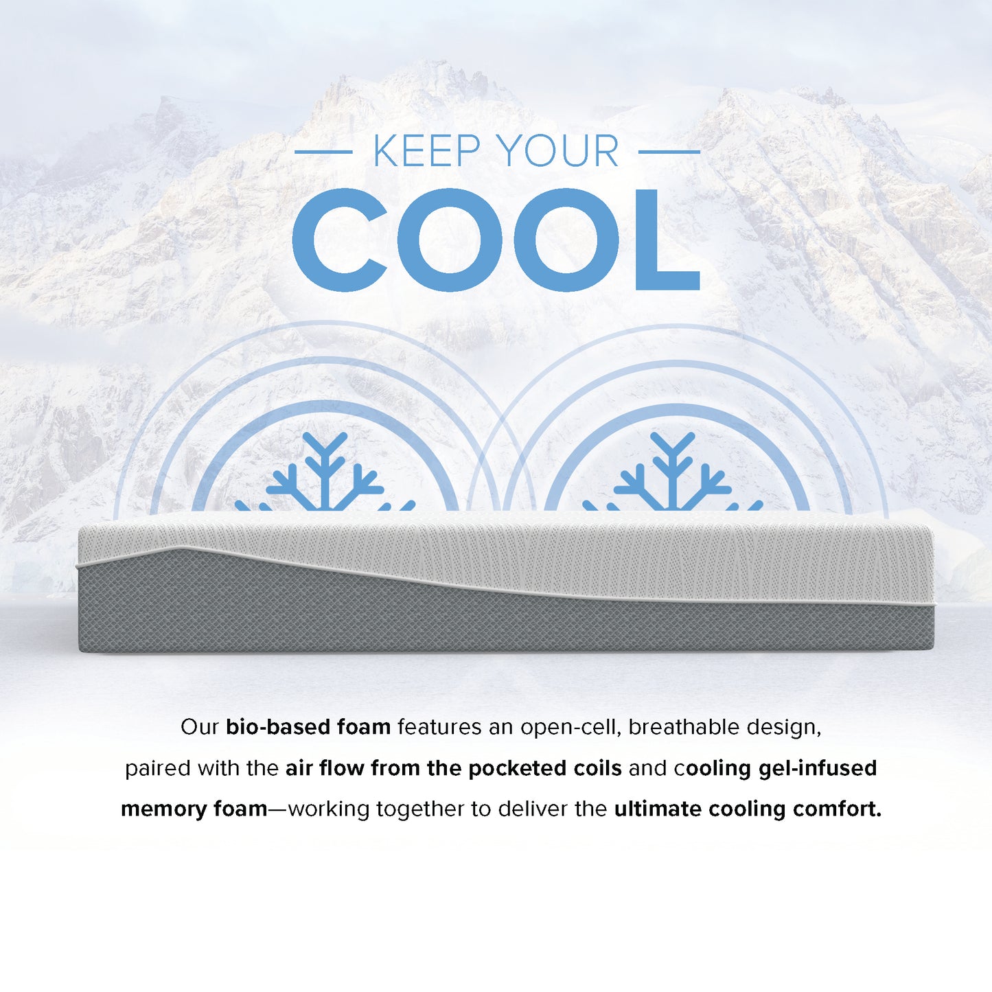 12” EcoCore Hybrid Deluxe - Medium Plush