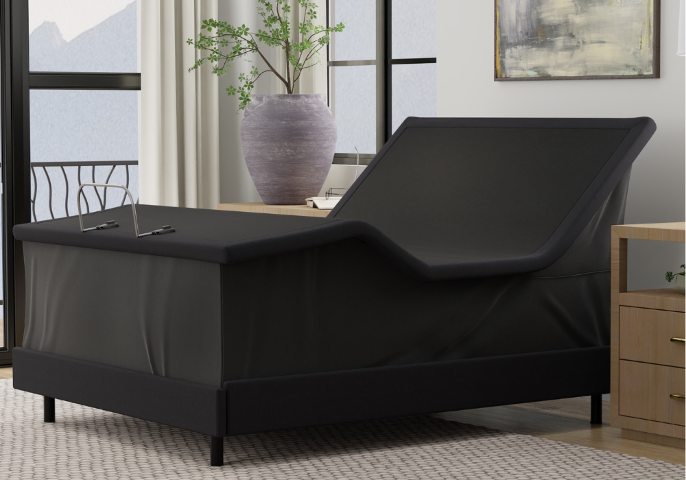 senior mobility solutions