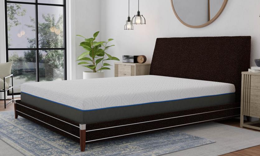 south bay international mattress review