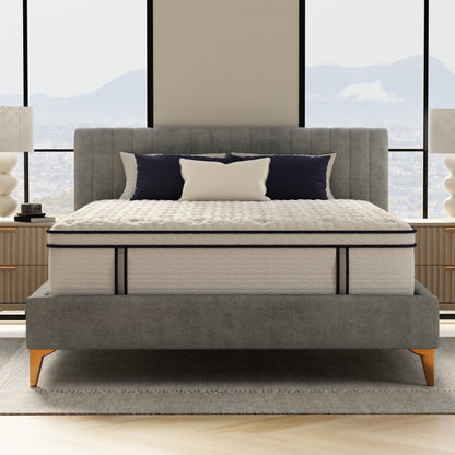 14 Sofinity Hybrid Plus Medium-Soft